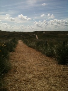 path_less_travelled_texel_1024