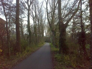 path_20101122_1024