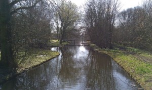 paths_and_water_of_intrigue
