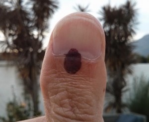 POWER THUMB!