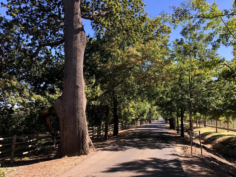 Figure 1: Entrance to Vergelegen and Morgenster, taken during an Autumn morning long(er) run. I&rsquo;m three bananas strong.