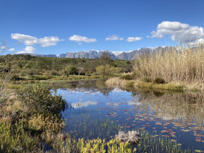 Figure 2: View from a family walk in the Helderberg reserve, where you can hopefully see some of the snowy peaks we’ve been treated with.