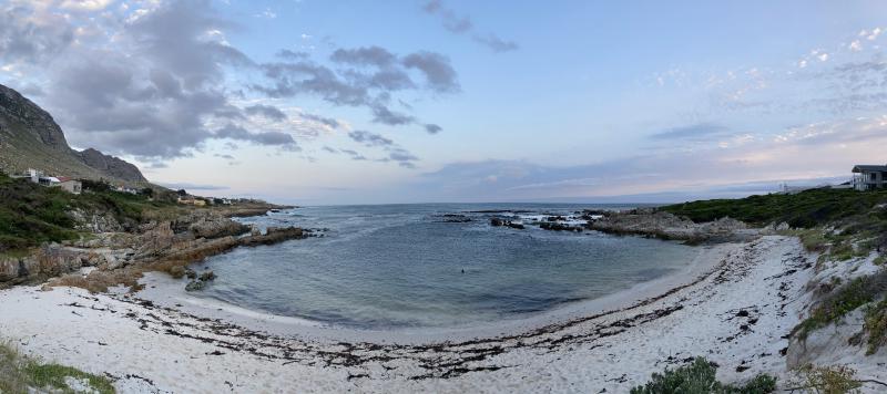 Figure 1: GOU#1 living her best life at in the Betty’s Bay water at dusk, accompanied by spectaculour colours.