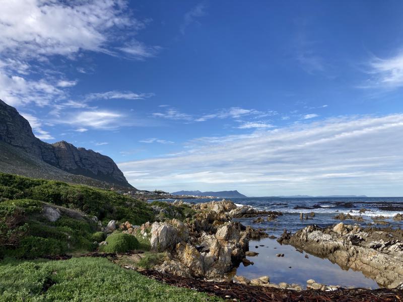 Figure 1: Scene from a walk in Betty’s Bay with the fam-jam.