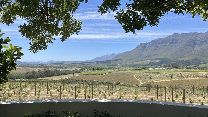 The view right from our lunch table at Stellenbosch Reserve, Haskell Vineyard