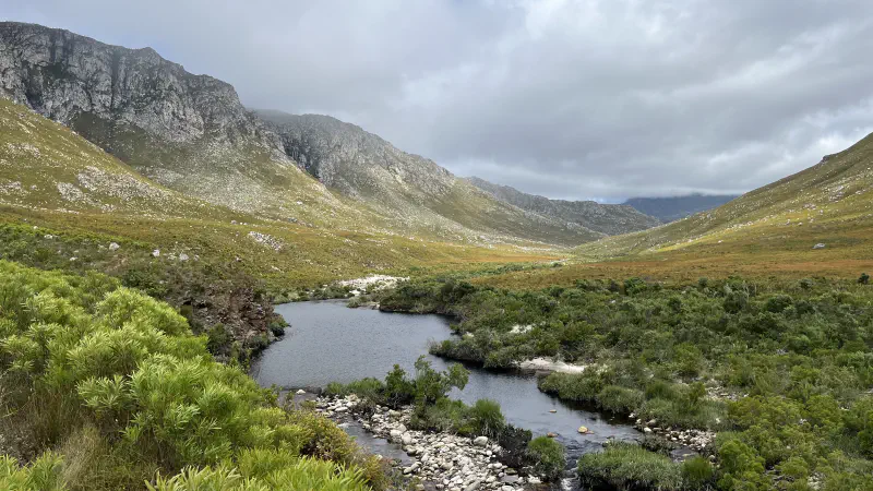 Scene from an extremely special hike up the Palmiet river.