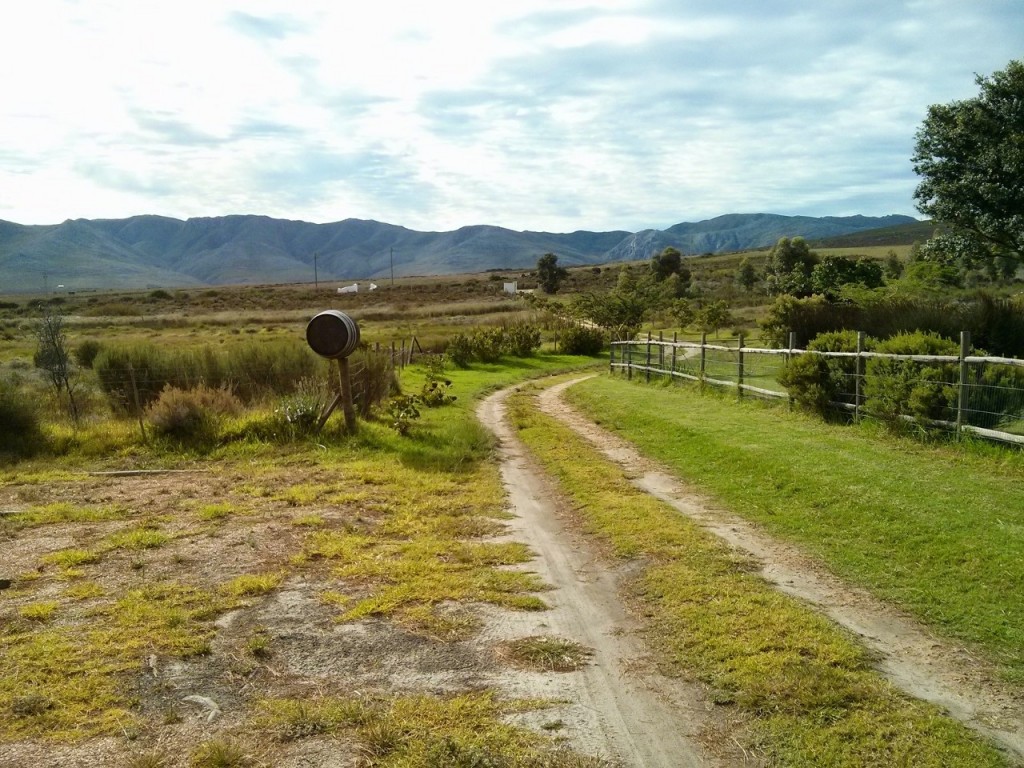 Vaalvlei wine farm, just outside of Stanford.