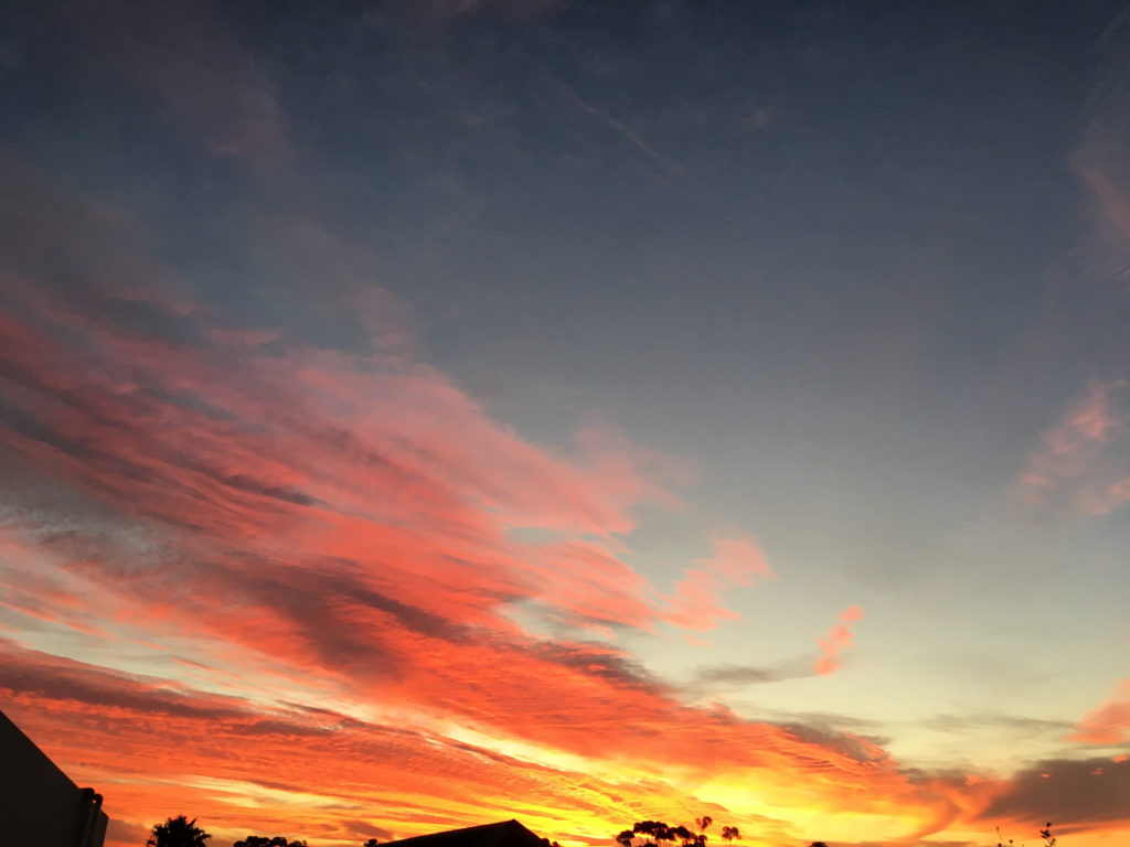 Pink sunset, as they do here in my backyard.