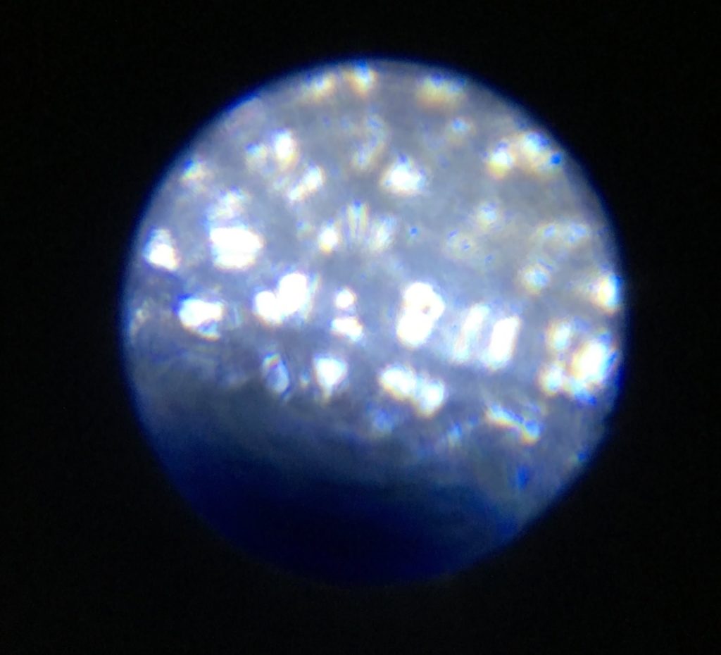 Fragment of potato skin, taken with phone camera through GOU#2’s microscope at 100x.