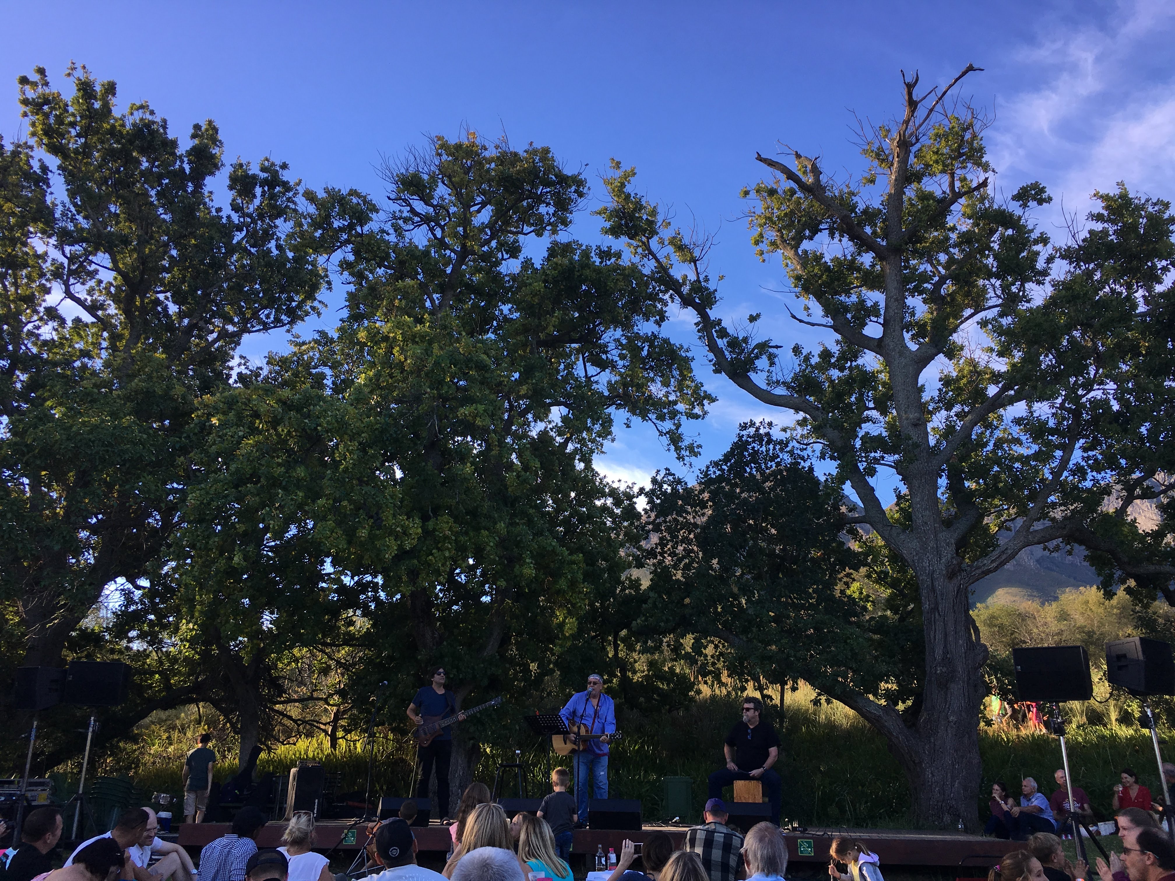 The legendary Koos Kombuis (aka André Letoit) performing with Schalk Joubert on bass and Vernon Swart on percussion in the Helderberg Nature reserve, eponymous mountain visible through the trees on the right. This was a surprisingly amazing end to the week.