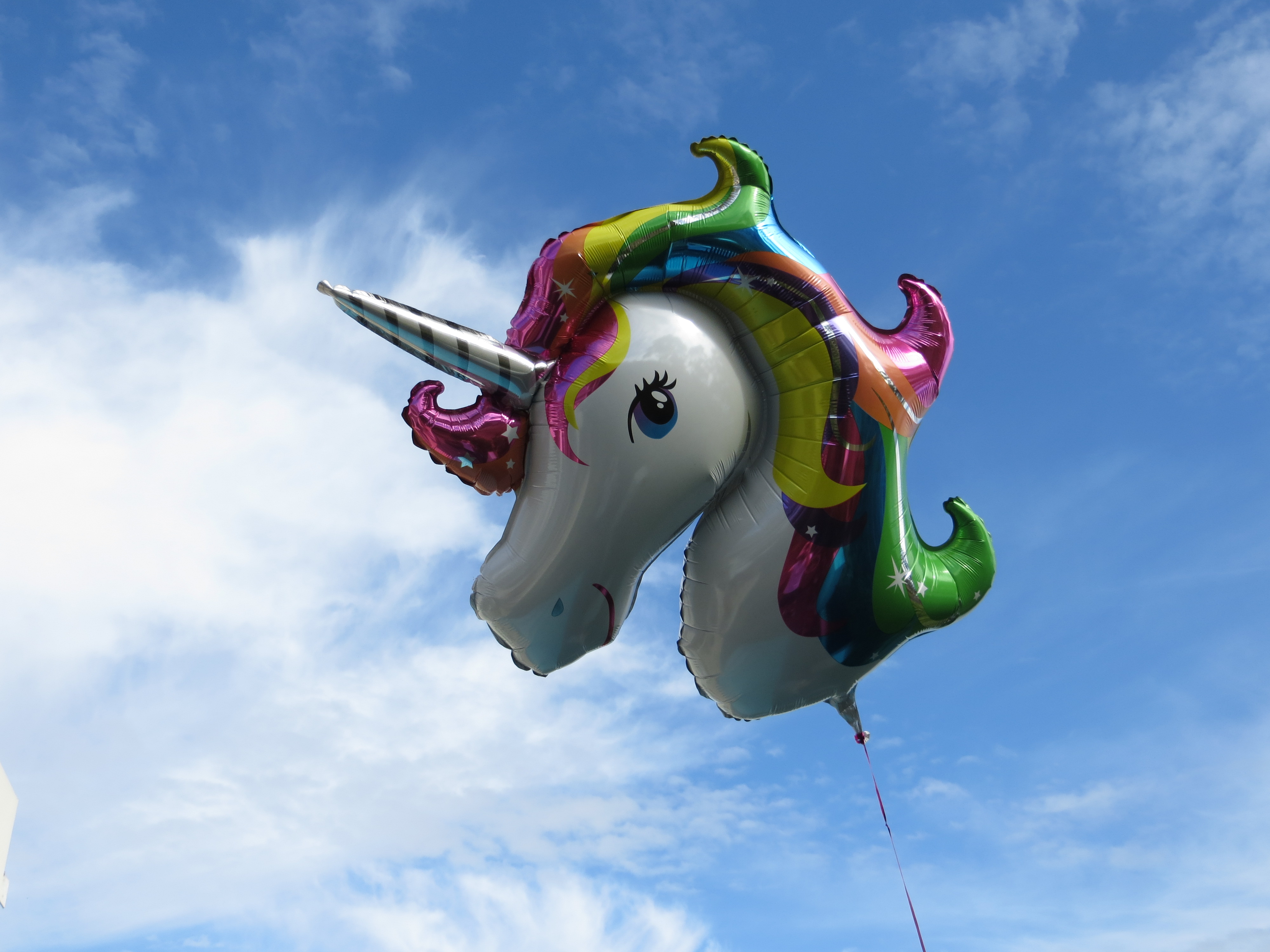 This rainbow unicorn, floating serenely on a cloudy background, is winking right at you. Down below, we are celebrating GOU #3’s second birthday. Photo taken with the expert assistance of GOU#1, age 11 going on 32.