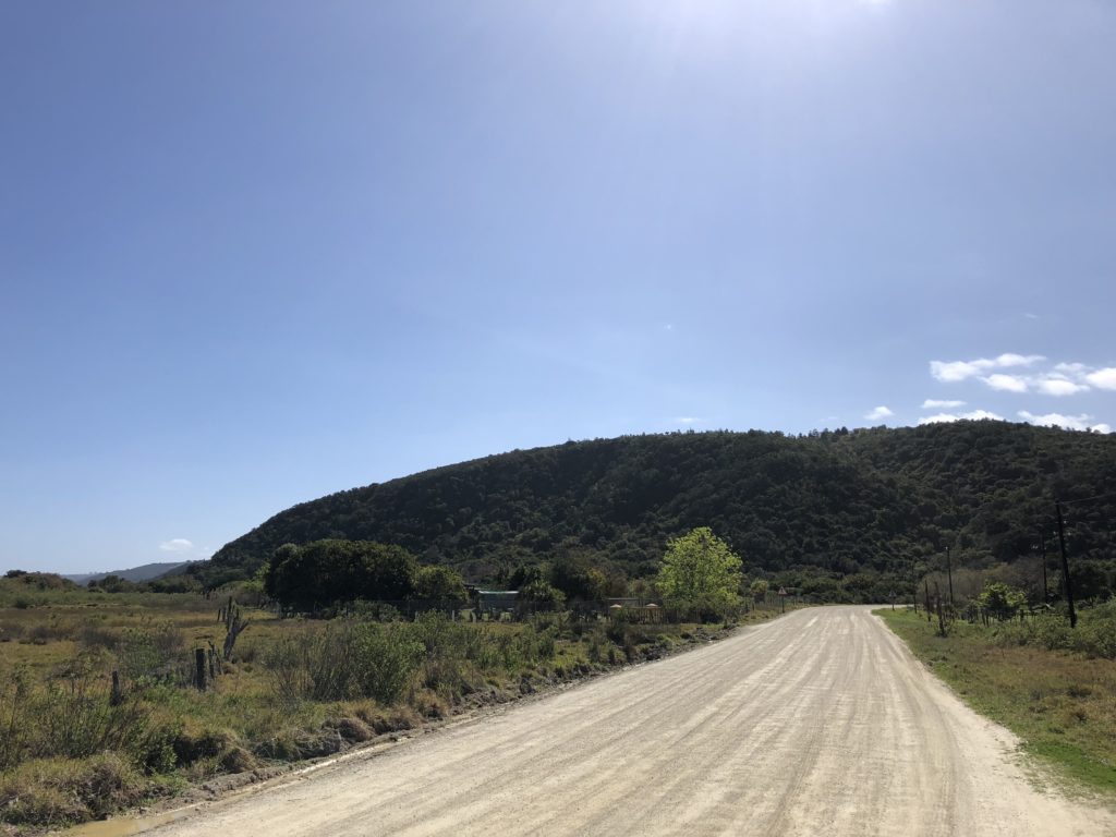 Happy place: Running on a gravel road somewhere, this time in Wilderness.