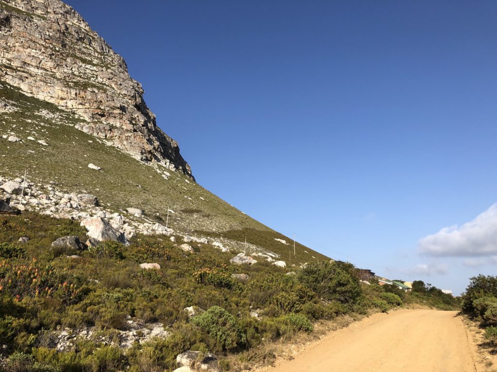 Running on a dirt road in Betty’s Bay. I love running on dirt roads, although on this particular morning I was already tired before I started. The tiredness unfortunately did not decrease. I think there might still have been some virus involved, or, more probably, just standard bad vacation habits involving craft beer in the evening.